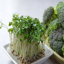 Load image into Gallery viewer, Microgreens by Slim Sprouts
