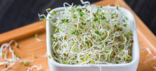 Load image into Gallery viewer, Microgreens by Slim Sprouts
